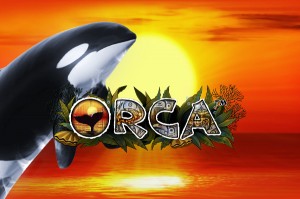 Orca Logo