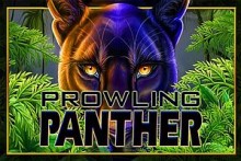 Prowling Panther