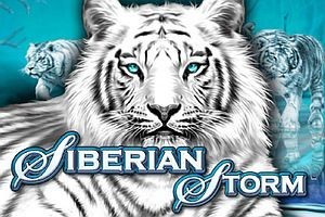 Siberian Storm Logo