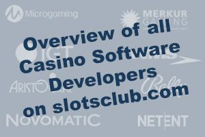 Software Logo