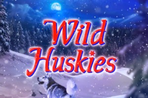 Wild Huskies Logo
