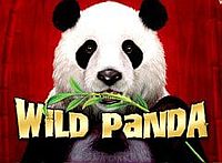 Wild Panda Logo
